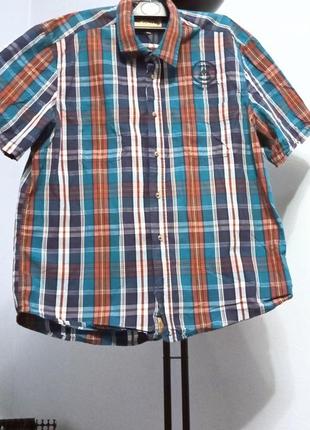 Рубашка в клетку хлопок рубашка оригинал camel active  pубашка в стиле тенниска