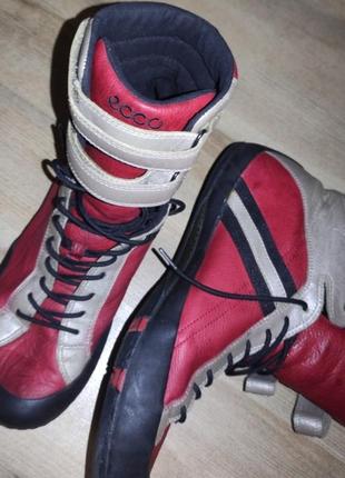 Кросівки ecco