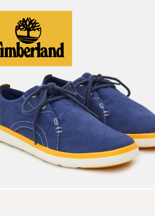 Змінка в школу для хлопчика кеди timberland