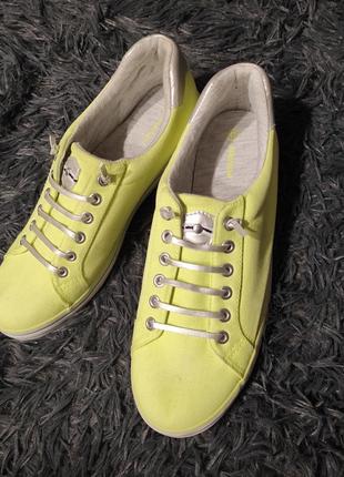 Кросівки, кеди від бренда graceland3 фото