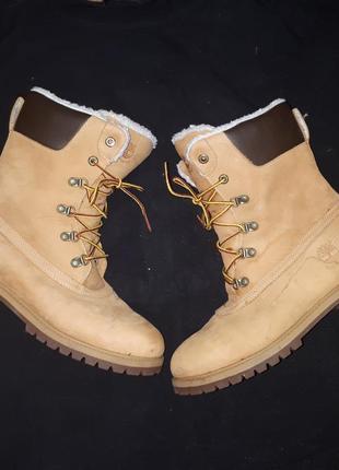 Черевики timberland waterproof