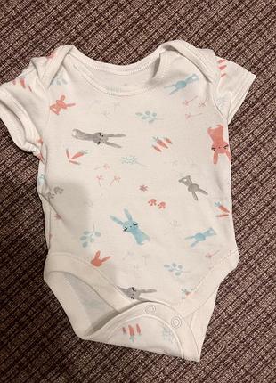 Бодик 62 размер