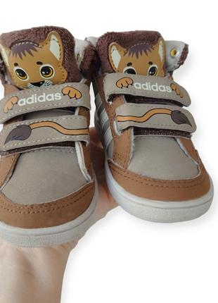 Кроссовки хайтопы adidas neo animal mid,8 фото