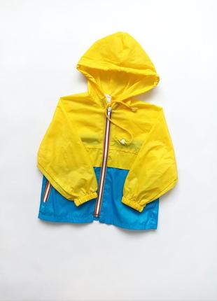 Желто- голубая куртка ветровка