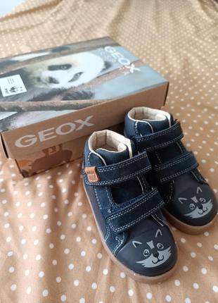 Продам новые ботинки ботинки geox 22 размер1 фото