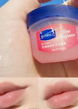 Бальзам для губ hanboli lip balm1 фото