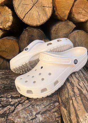 Мужские кроксы сабо crocs classic white