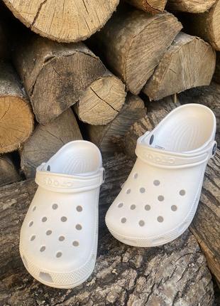Жіночі крокси сабо crocs classic white2 фото