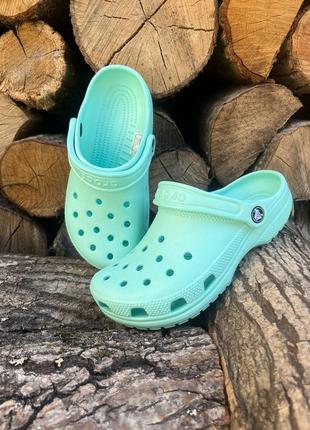 Женские кроксы сабо crocs classic mint