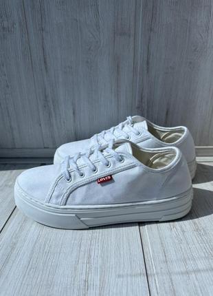 Кеди levis.39/40