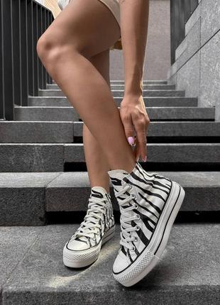 Converse zebra hotsell