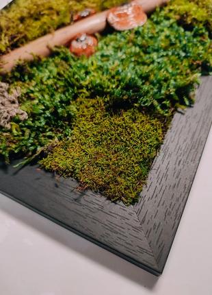 Фіто-картина з моху, лісове панно з грибами, ароматизатор для дому лаванда5 фото