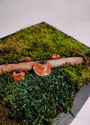 Фіто-картина з моху, лісове панно з грибами, ароматизатор для дому лаванда2 фото