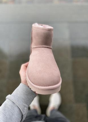 Шикарные угги ugg mini5 фото