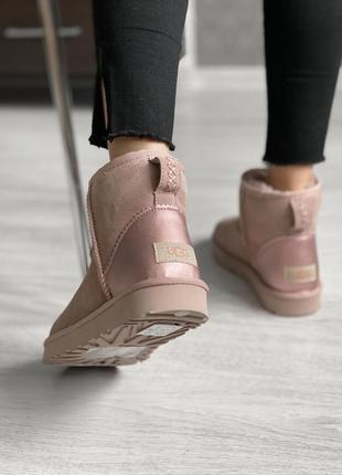 Шикарные угги ugg mini6 фото