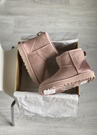 Шикарные угги ugg mini8 фото