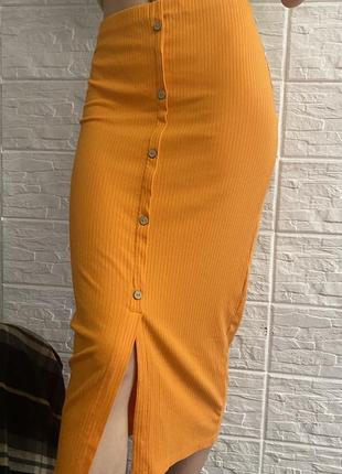 Спилница летняя