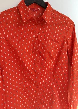 🍁  •~ яскрава сорочка з принт кролики зайці xs °~•  🍁 блузка помаранчева малюнок6 фото