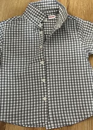 Сорочка mango