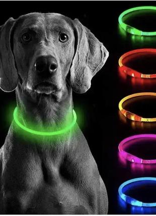 Ошейник для собак led, ошейник с подсветкой, водостойкий, с зарядкой usb, светящийся ошейник1 фото