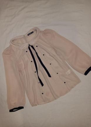 Ніжна шифонова базова блуза блузка4 фото