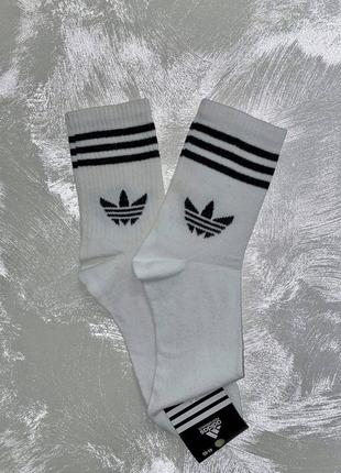 Високі шкарпетки adidas