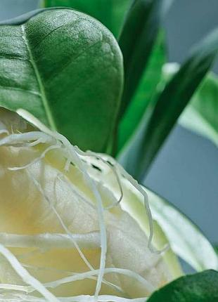 Yves rocher, сыворотка, для укрепления и роста волос, с экстрактом женьшеня, ив роше