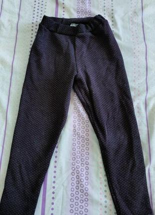 Лосіни зимові, легінси