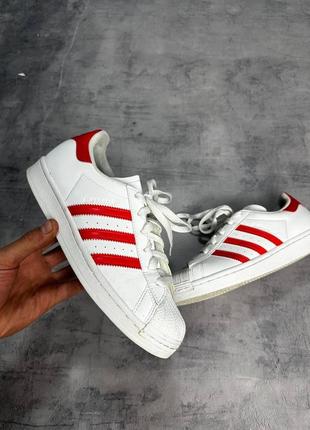 Кросівки adidas superstar