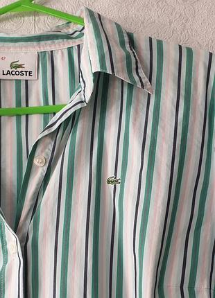 Рубашка lacoste 3