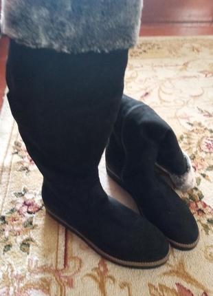 Сапоги женские демисезонные новые