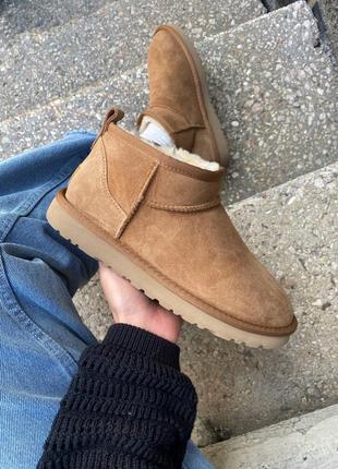 Зимние угги ugg classic ultra mini chestnut