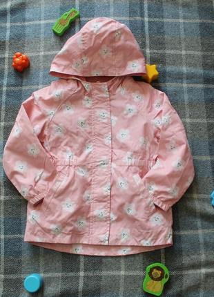 Демисезонная куртка