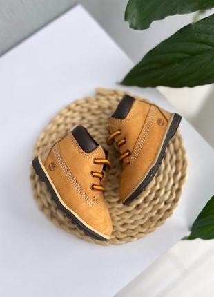 Ботинки  timberland 11см