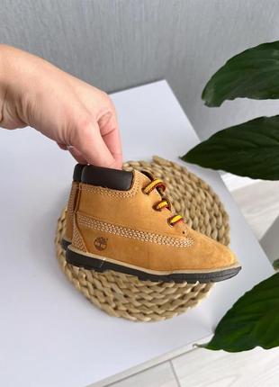 Ботинки  timberland 11см 2