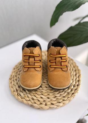 Ботинки  timberland 11см3 фото