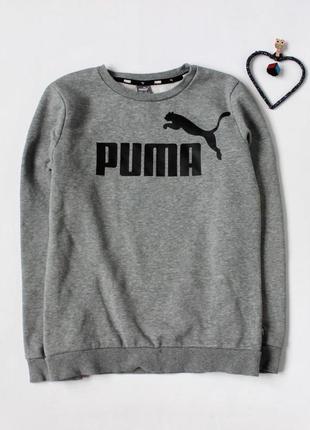 Кофта, свитшот puma (оригинал) 13-14 лет, 164 см