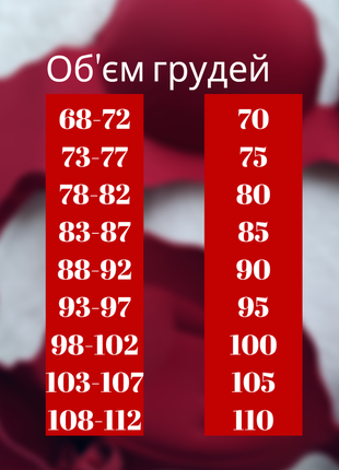 Бюст з невеликим пуш-ап. бюстгальтер жіночий ліфчик безшовний без кісточок6 фото