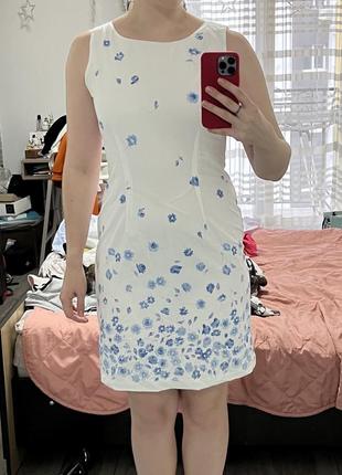 Плаття біле в голубу квіточку футляр