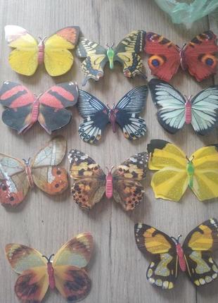 Набір метеликів декоративних 11 шт1 фото