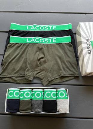 Набор трусы боксерки модал lacoste