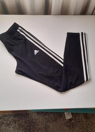 Лосины adidas