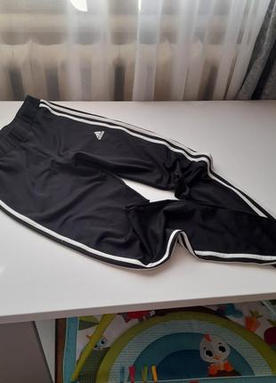 Лосіни adidas3 фото