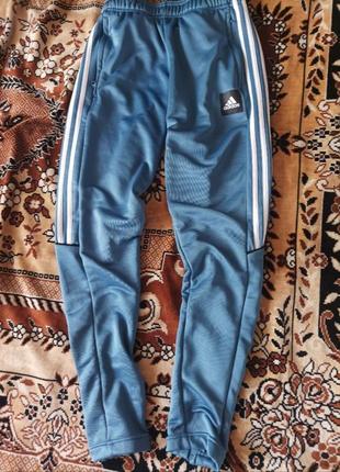 Брюки adidas оригинал