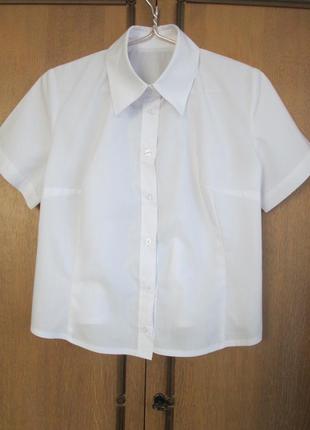 Скромна класична блуза з коротким рукавом для роботи в офісі