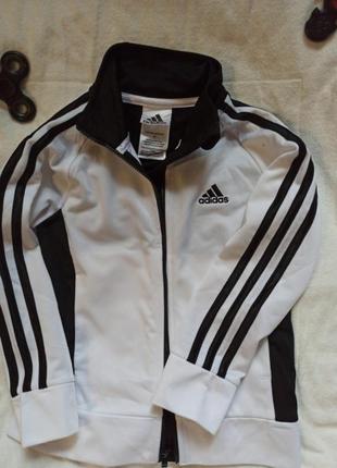 Adidas оригинал