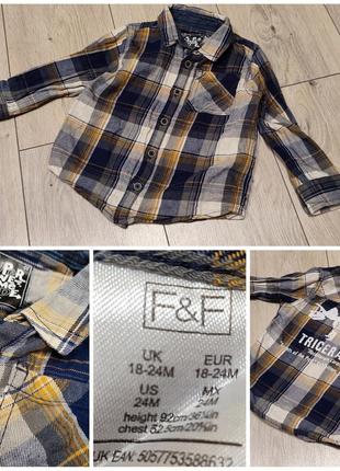 Сорочка рубашка динозавр трицератопс