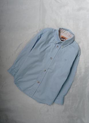 Голубая хлопковая рубашка хлопка timeberland 4 года1 фото