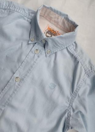 Голубая хлопковая рубашка хлопка timeberland 4 года3 фото