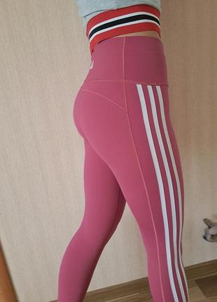 Лосины adidas4 фото